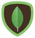 MongoDB